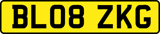BL08ZKG