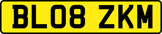 BL08ZKM
