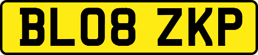 BL08ZKP