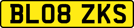 BL08ZKS