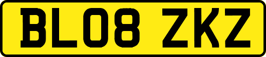 BL08ZKZ