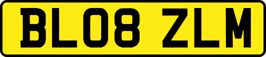 BL08ZLM