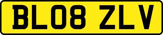 BL08ZLV