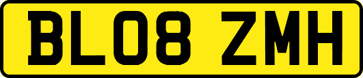 BL08ZMH