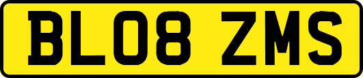 BL08ZMS