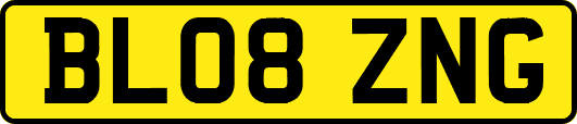 BL08ZNG