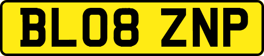 BL08ZNP