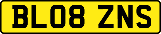 BL08ZNS