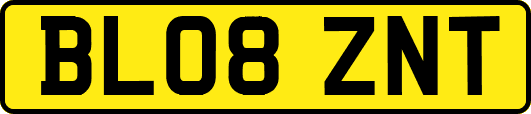 BL08ZNT
