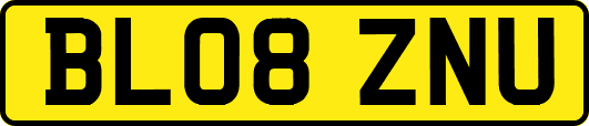 BL08ZNU