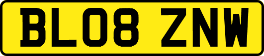 BL08ZNW