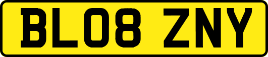 BL08ZNY