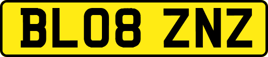 BL08ZNZ