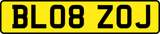 BL08ZOJ