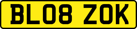 BL08ZOK