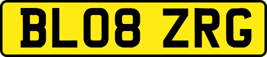 BL08ZRG