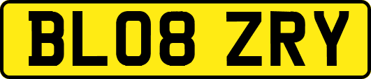 BL08ZRY