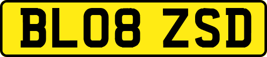 BL08ZSD