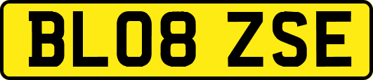 BL08ZSE