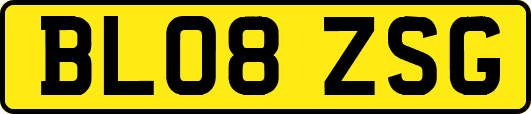 BL08ZSG