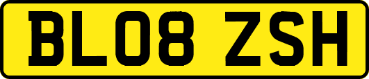 BL08ZSH