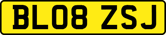 BL08ZSJ