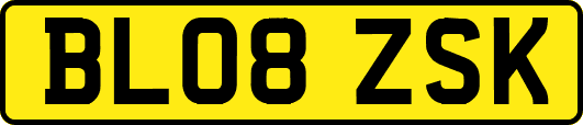 BL08ZSK