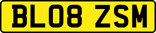 BL08ZSM