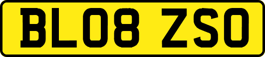 BL08ZSO