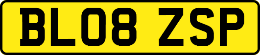 BL08ZSP