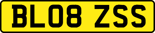 BL08ZSS