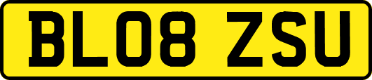 BL08ZSU
