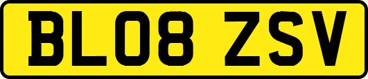 BL08ZSV