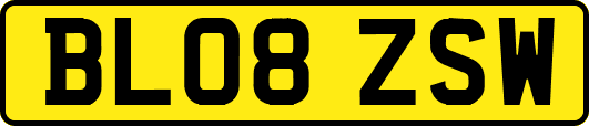 BL08ZSW
