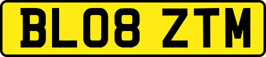 BL08ZTM