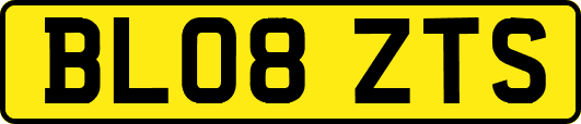 BL08ZTS