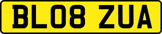 BL08ZUA