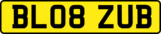 BL08ZUB