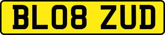 BL08ZUD
