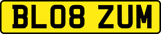 BL08ZUM