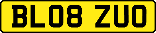 BL08ZUO