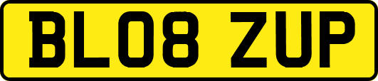 BL08ZUP