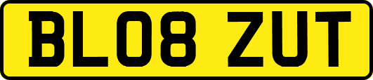 BL08ZUT