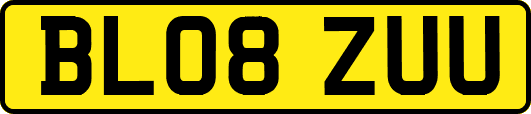 BL08ZUU