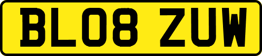 BL08ZUW
