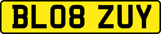 BL08ZUY