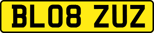 BL08ZUZ