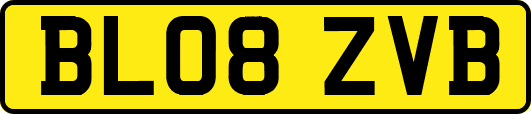 BL08ZVB