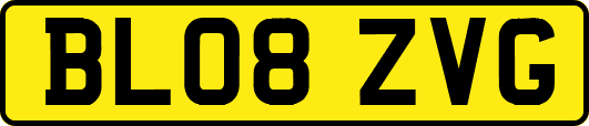 BL08ZVG