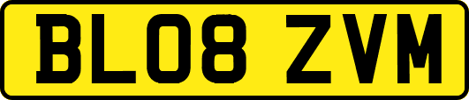 BL08ZVM
